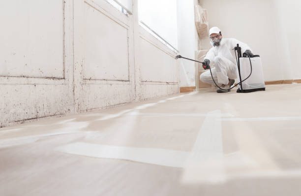 24/7 Emergency Attic Mold Removal experts in Westville, IL