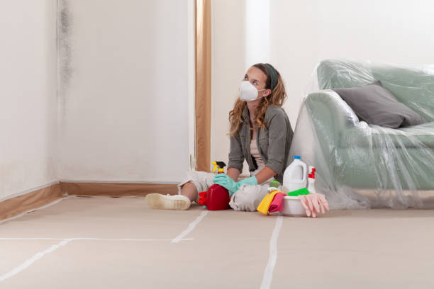 Reliable Attic Mold Removal contractor in Westville, IL by WQB Mold Removal